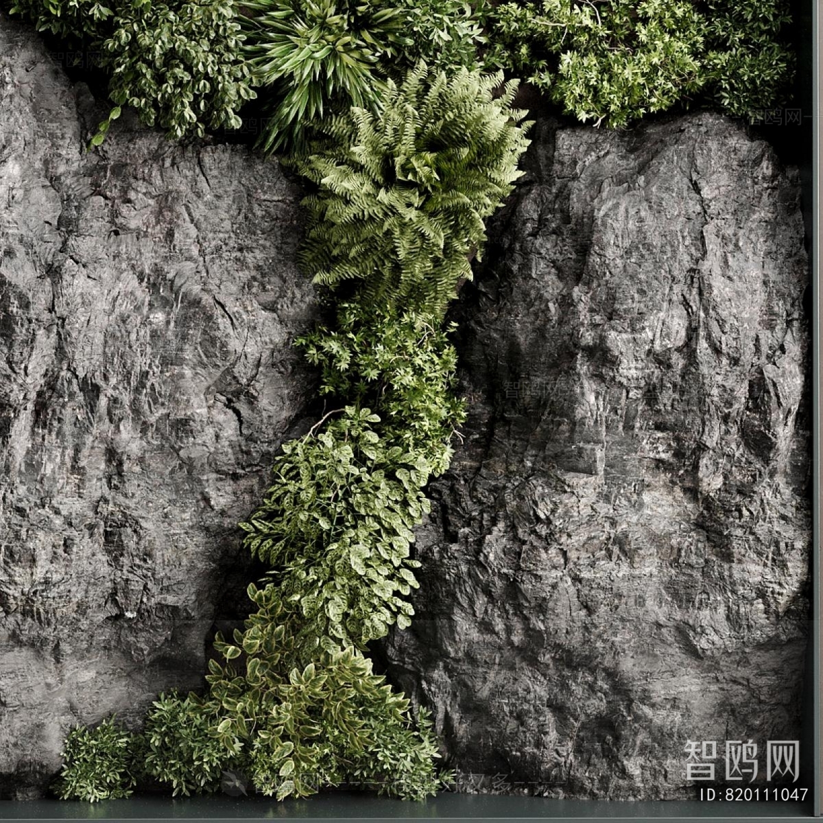 Modern Plant Wall