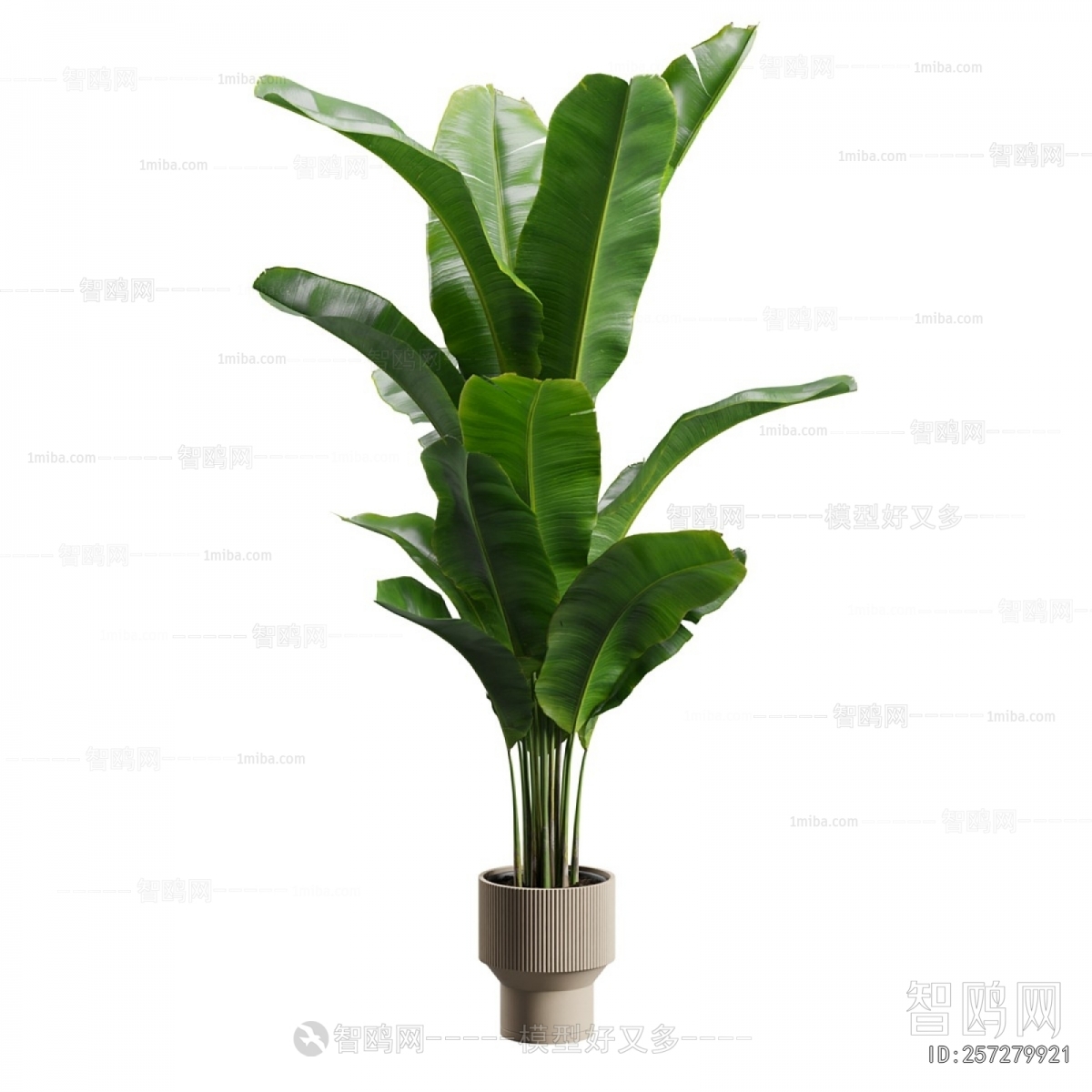 Modern Ground Green Plant Potted Plants