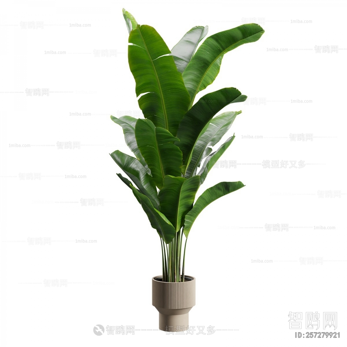 Modern Ground Green Plant Potted Plants