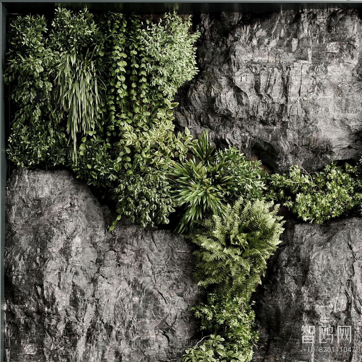 Modern Plant Wall