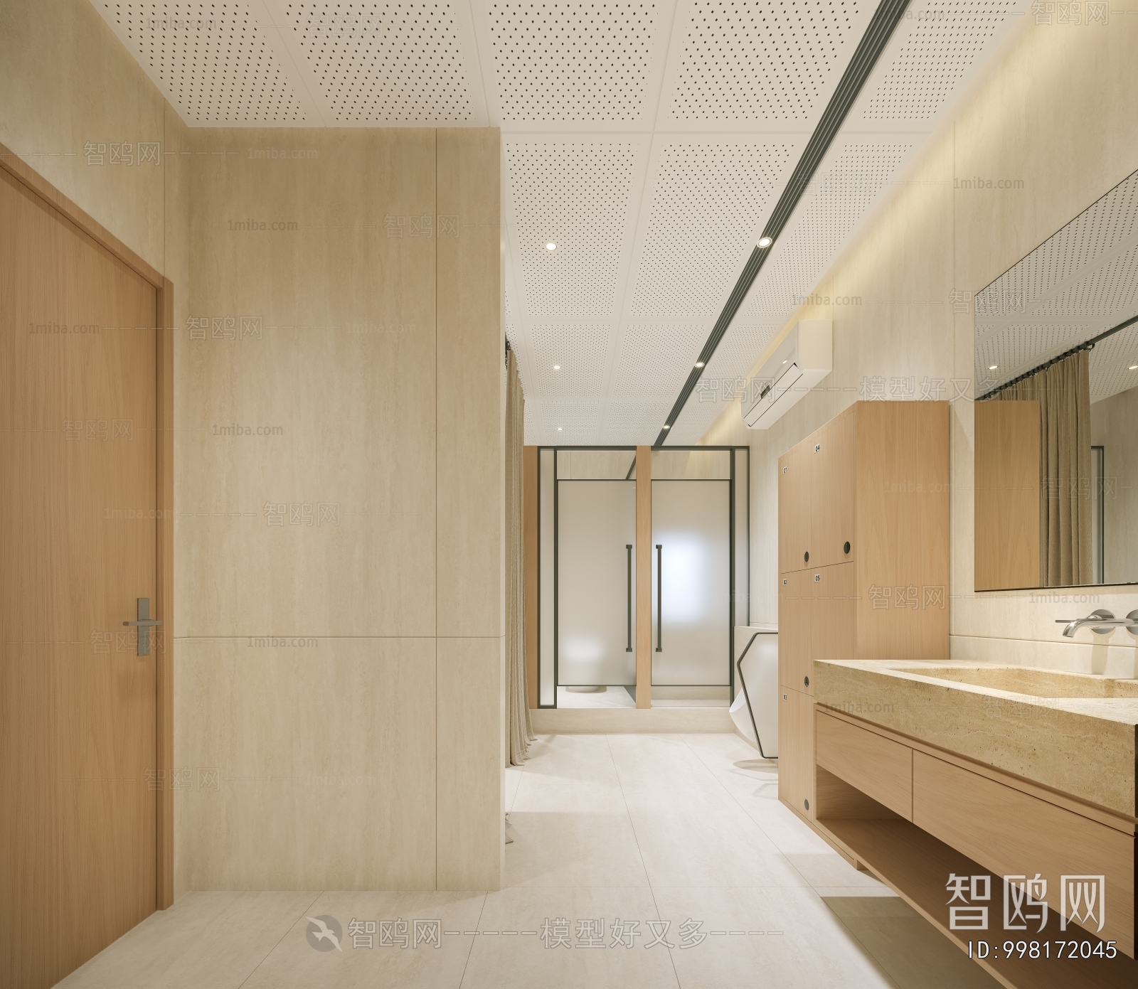 Modern Public Toilet