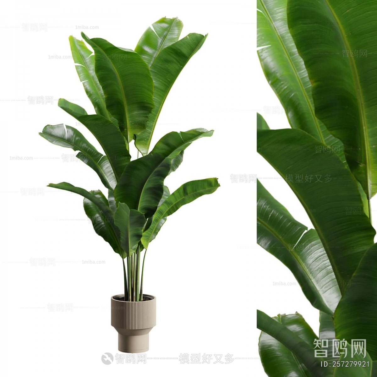 Modern Ground Green Plant Potted Plants