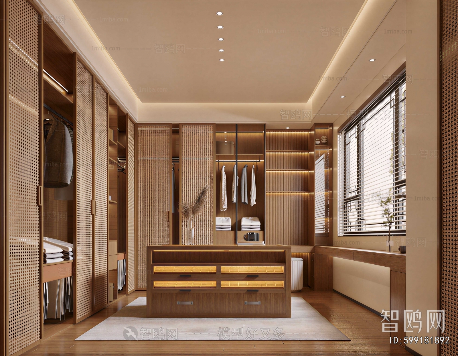 Modern Clothes Storage Area