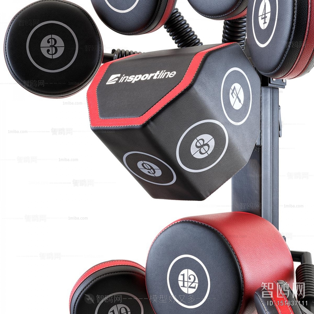 Modern Fitness Equipment