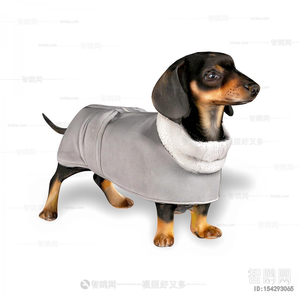 Modern Animal Dog