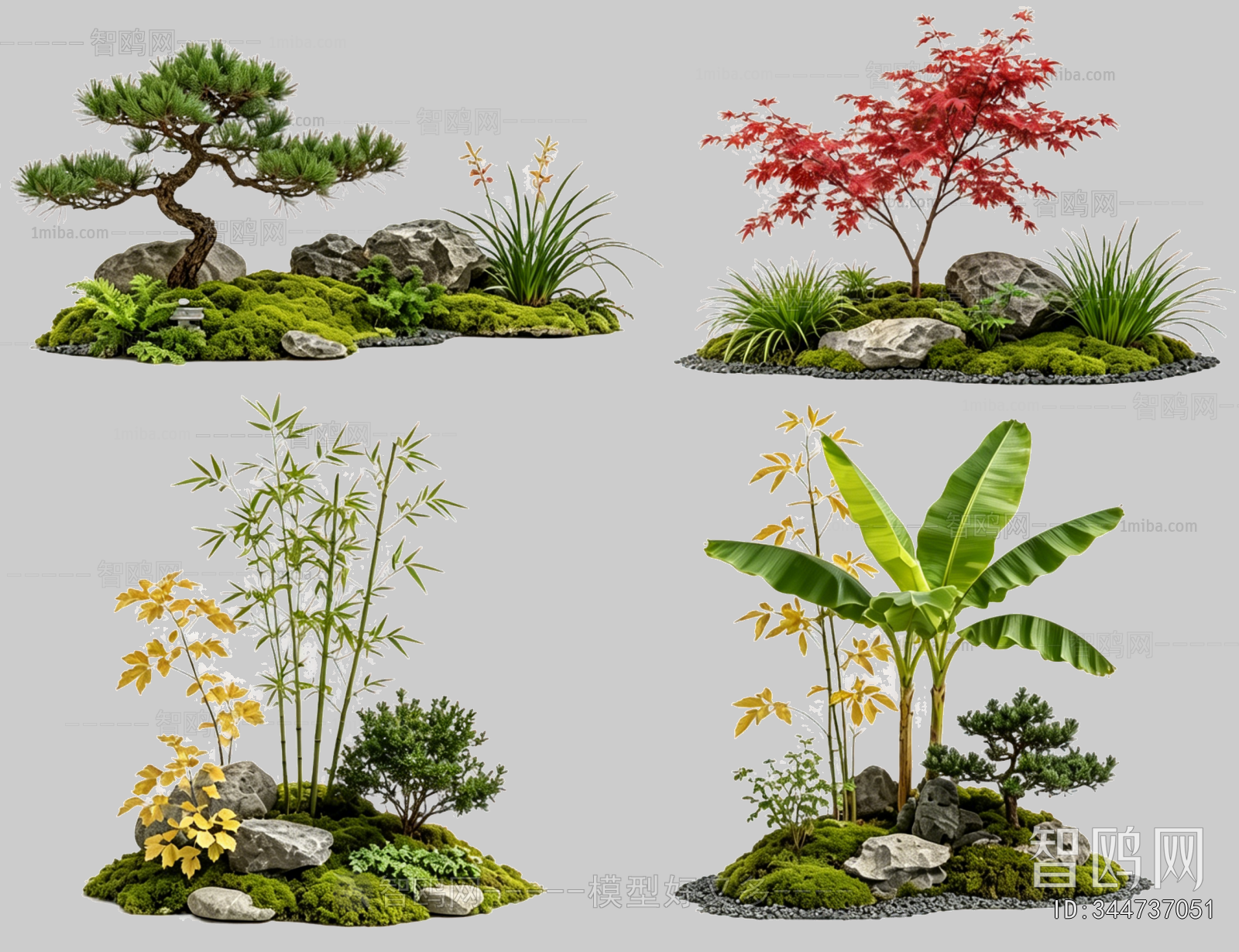 Plant Leaves