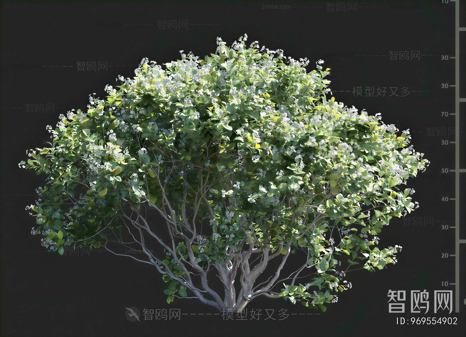 Modern Shrubbery