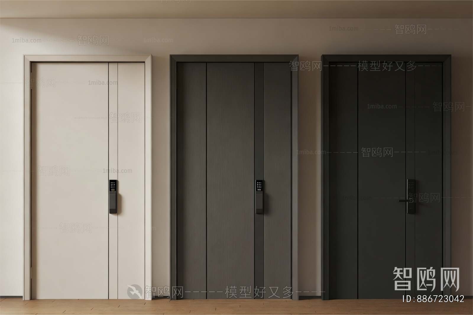 Modern Entrance Door