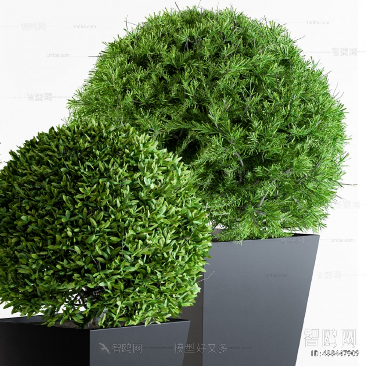 Modern Flower Bed, Flower Bowl, Flower Box