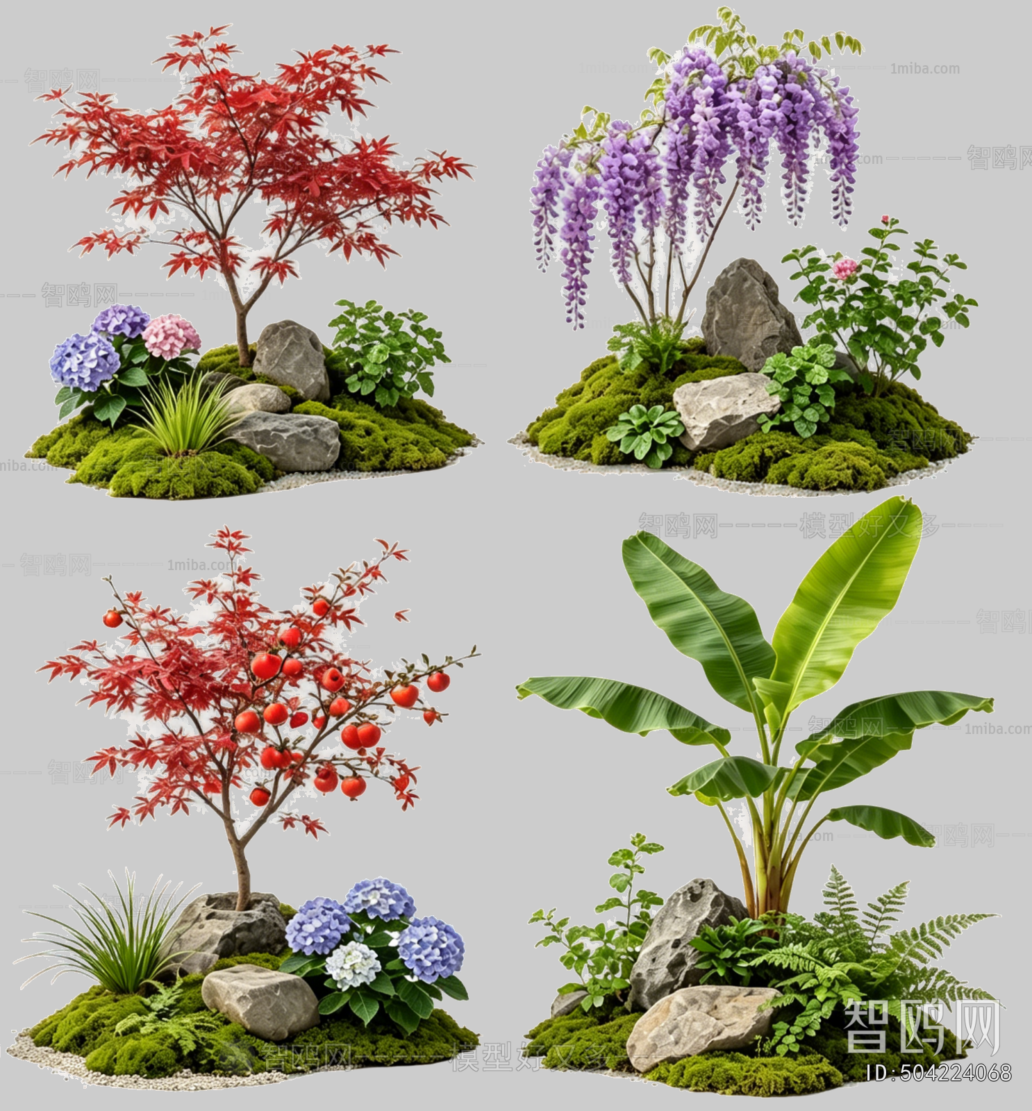 Plant Leaves