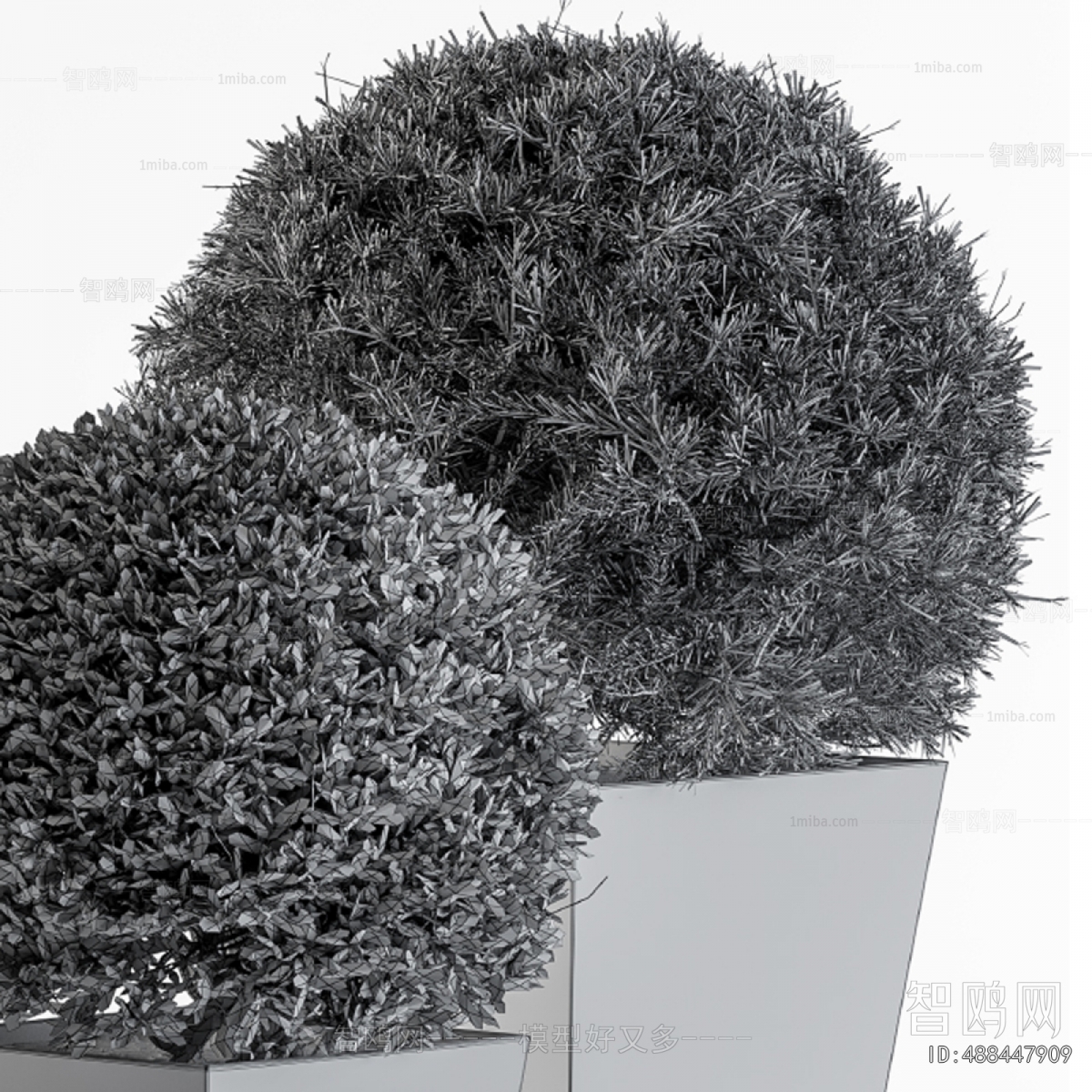 Modern Flower Bed, Flower Bowl, Flower Box