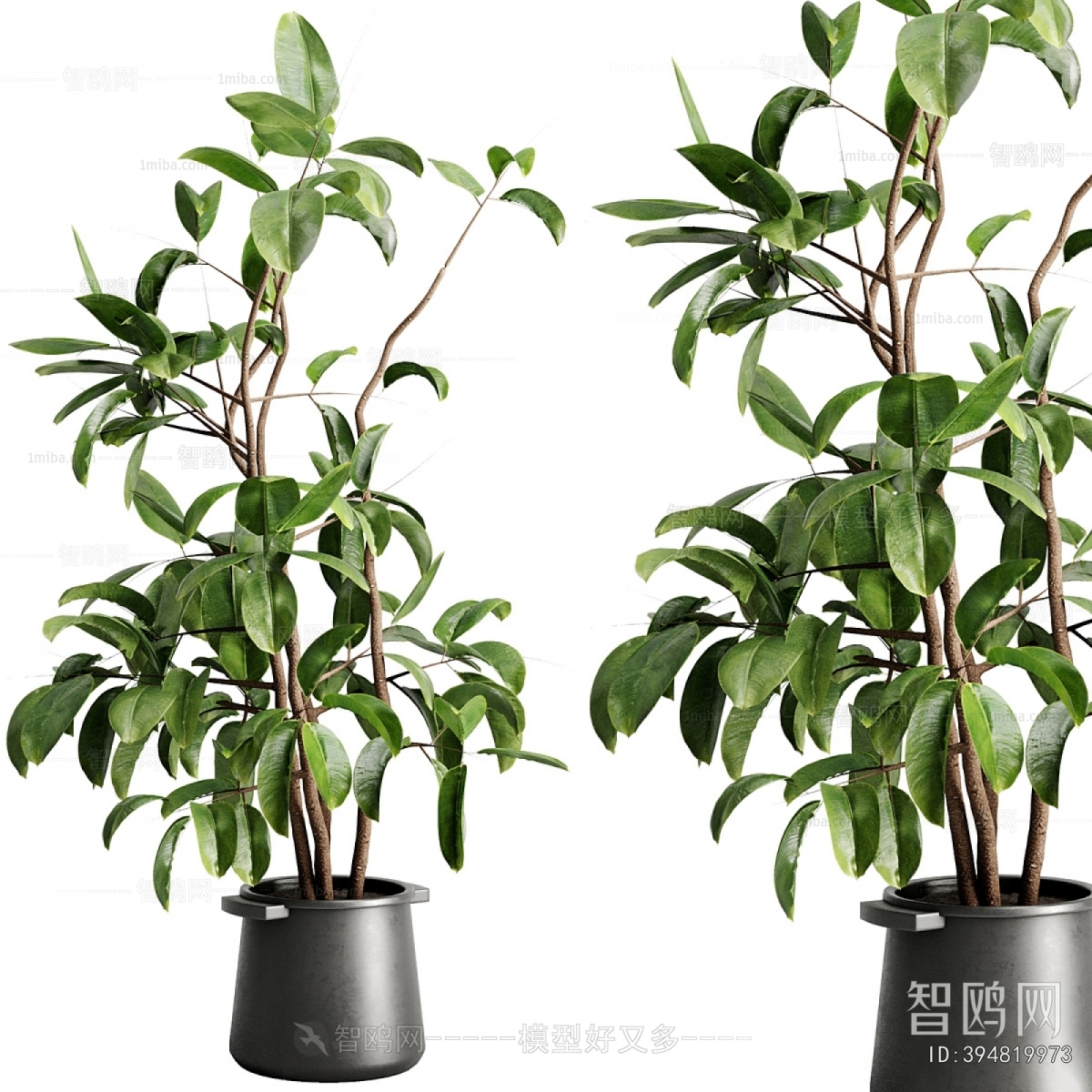 Modern Ground Green Plant Potted Plants