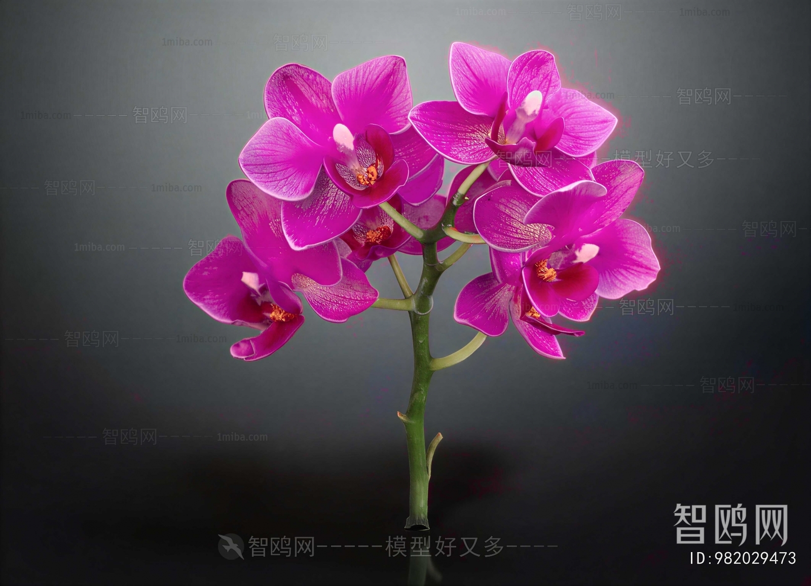 Modern Flowers And Grass