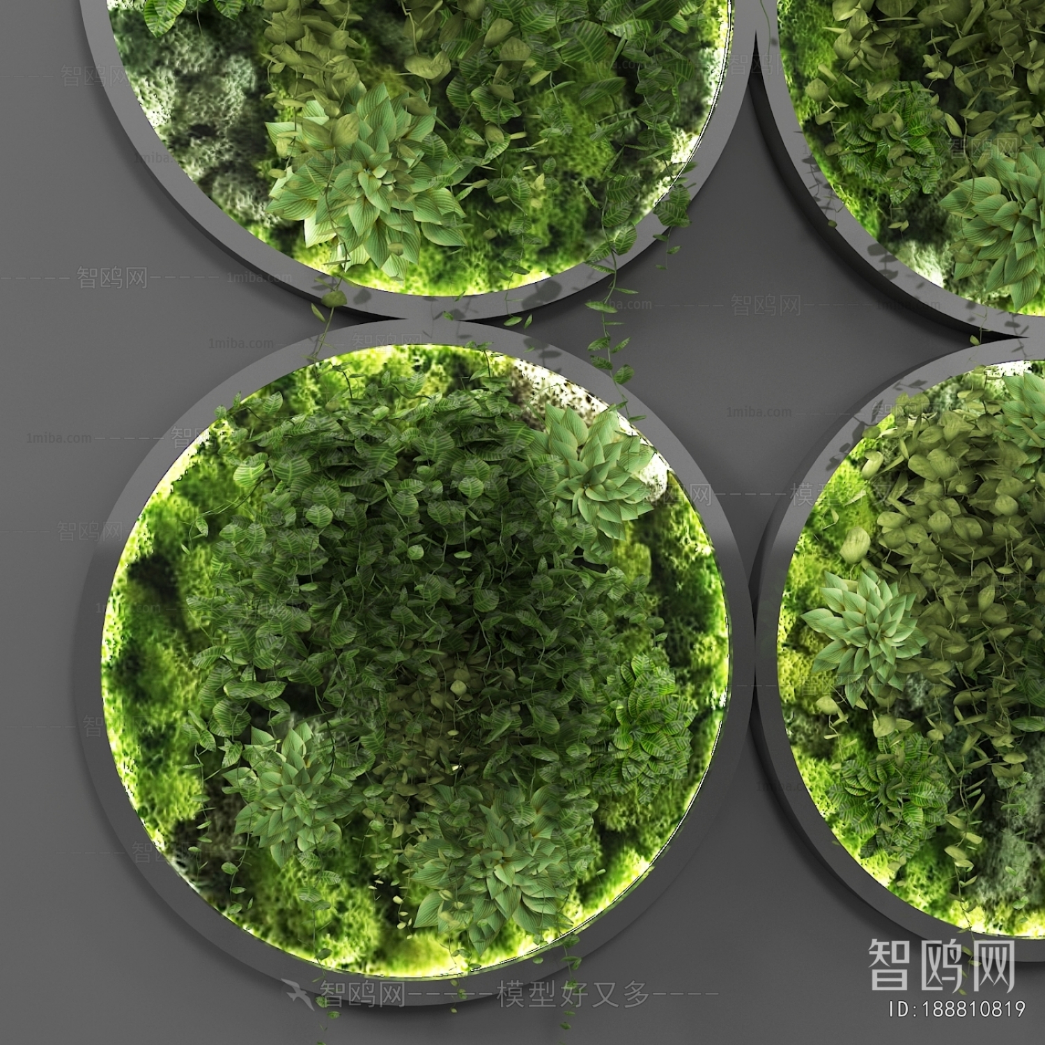Modern Plant Wall