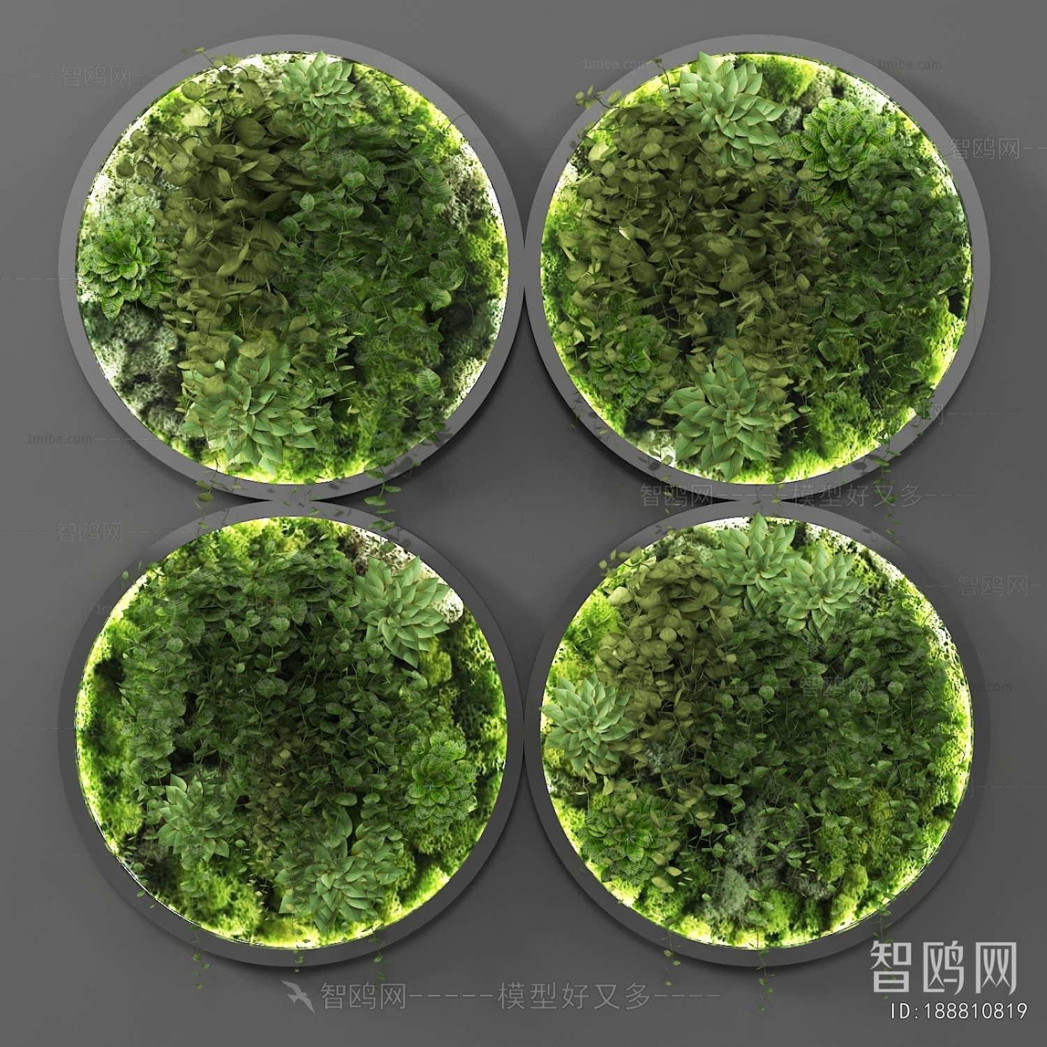 Modern Plant Wall