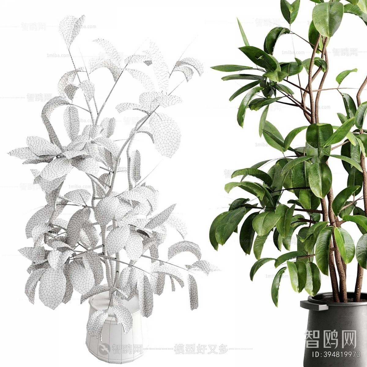 Modern Ground Green Plant Potted Plants