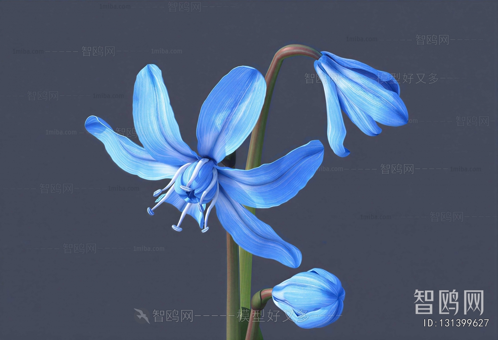 Modern Flowers And Grass