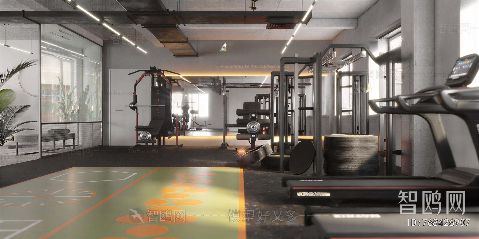 Modern Gym