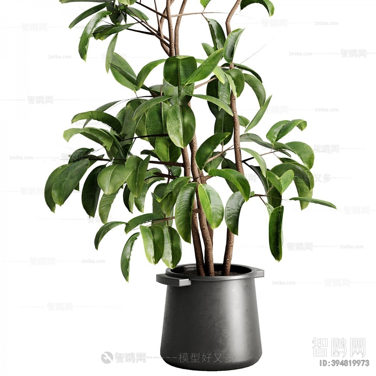 Modern Ground Green Plant Potted Plants