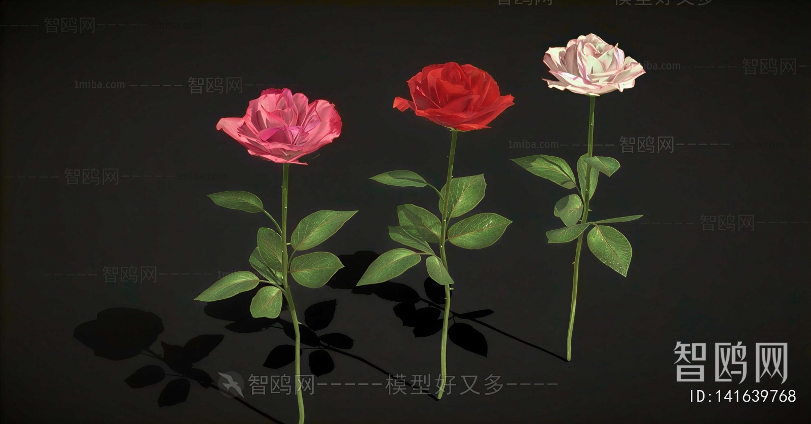 Modern Flowers And Grass