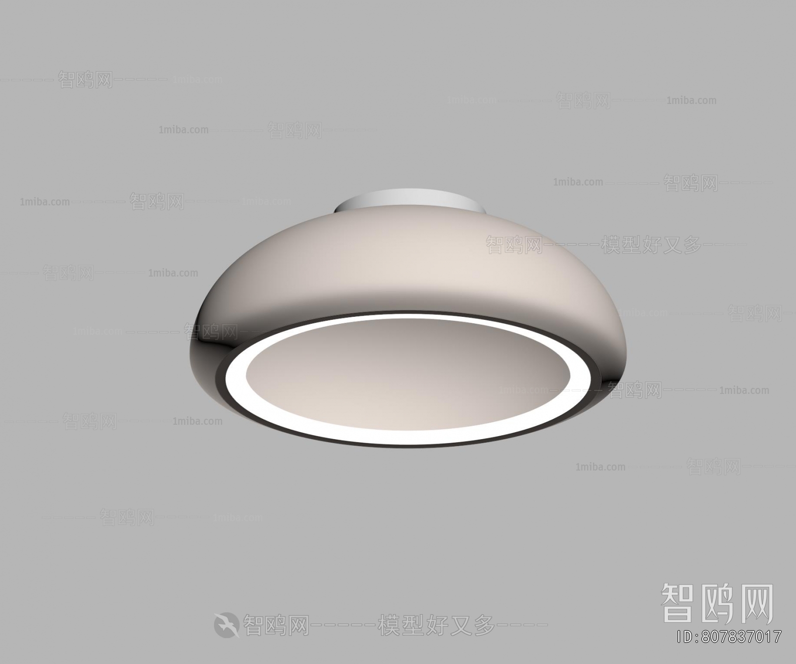 Modern Ceiling Ceiling Lamp