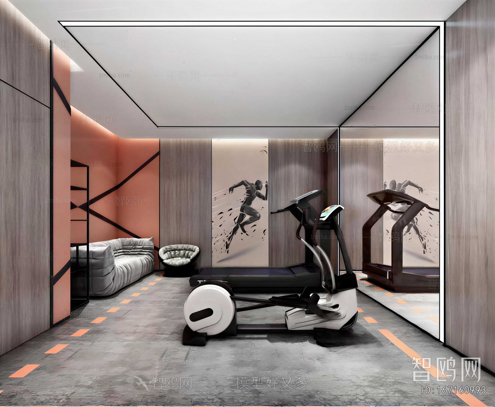 Modern Home Fitness Room
