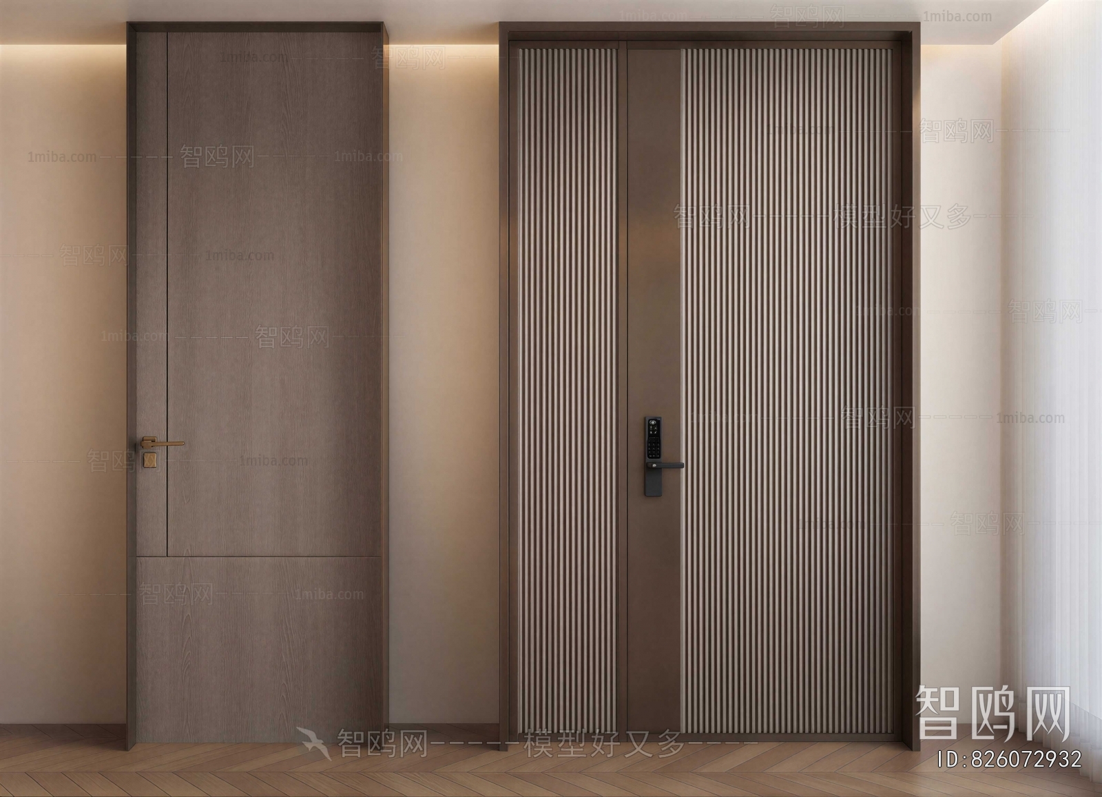 Modern Entrance Door