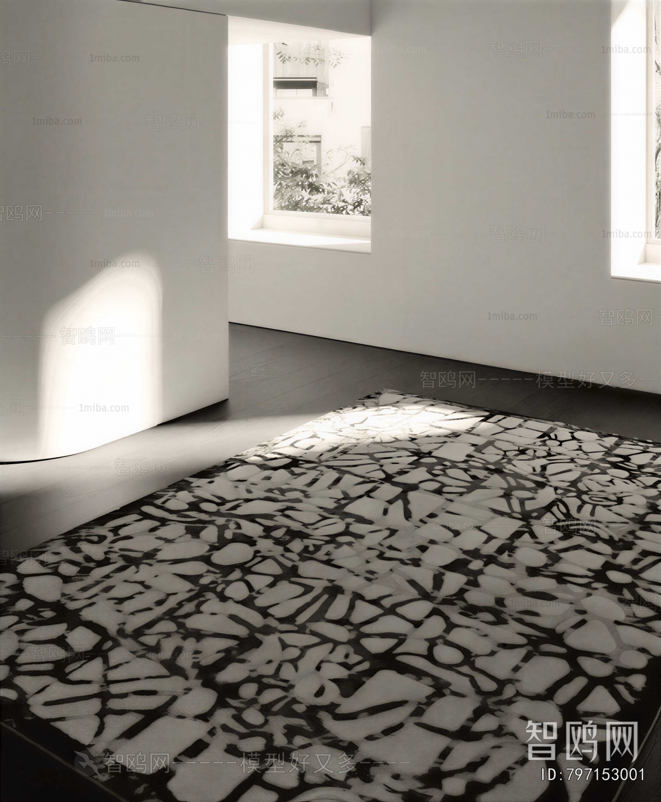 Modern The Carpet