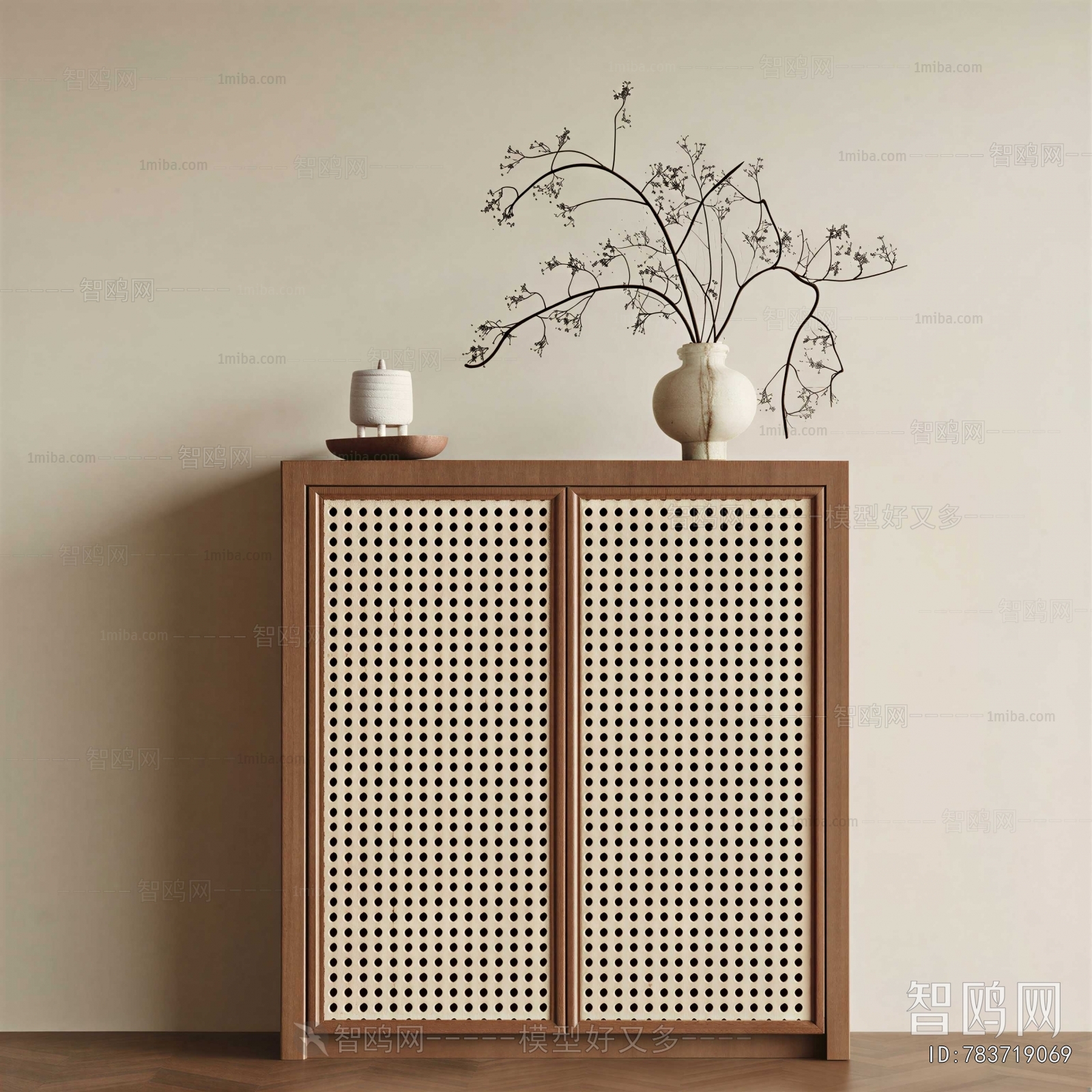 Modern Shoe Cabinet
