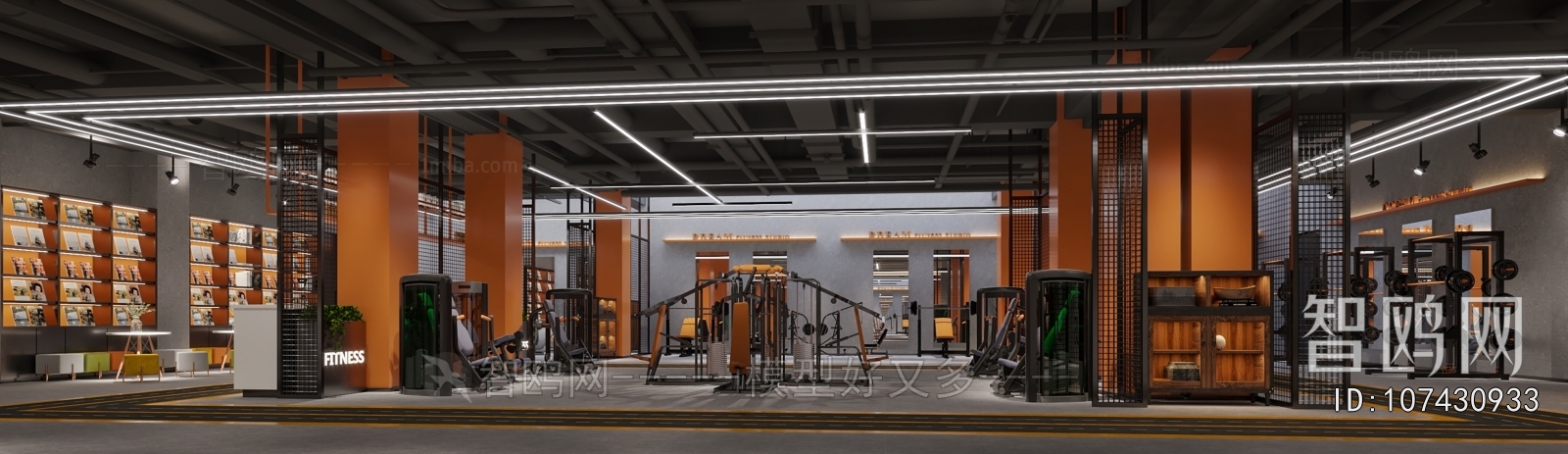 Industrial Style Gym