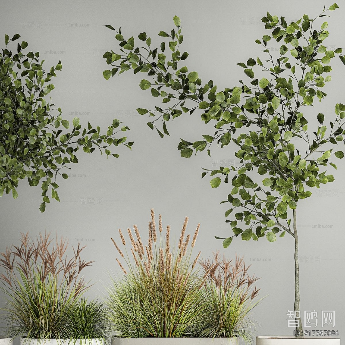 Modern Flower Bed, Flower Bowl, Flower Box