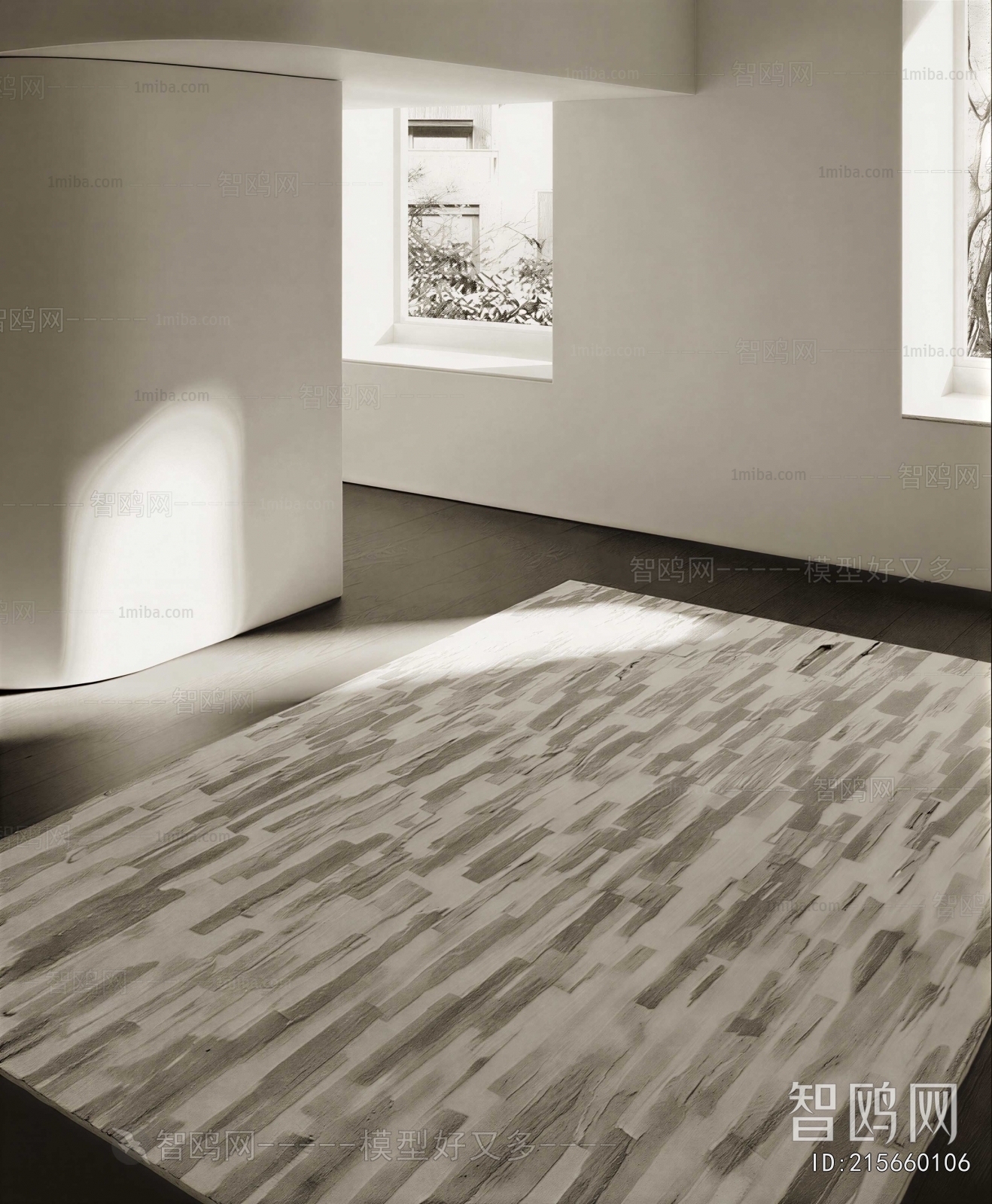 Modern The Carpet