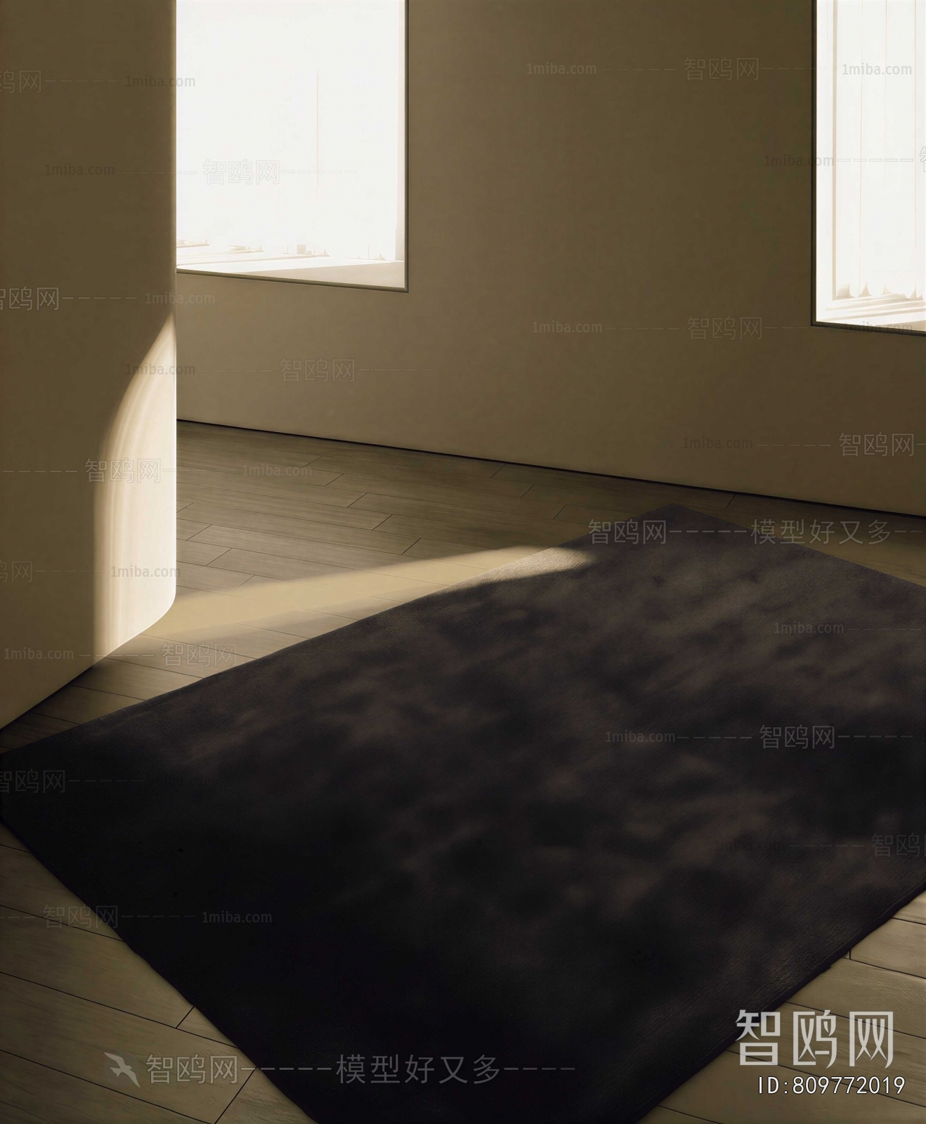 Modern The Carpet