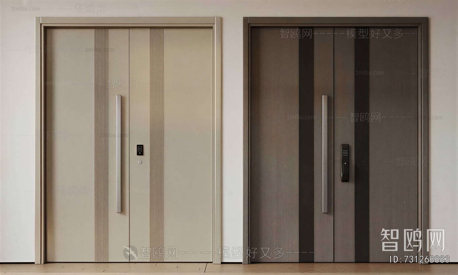 Modern Entrance Door