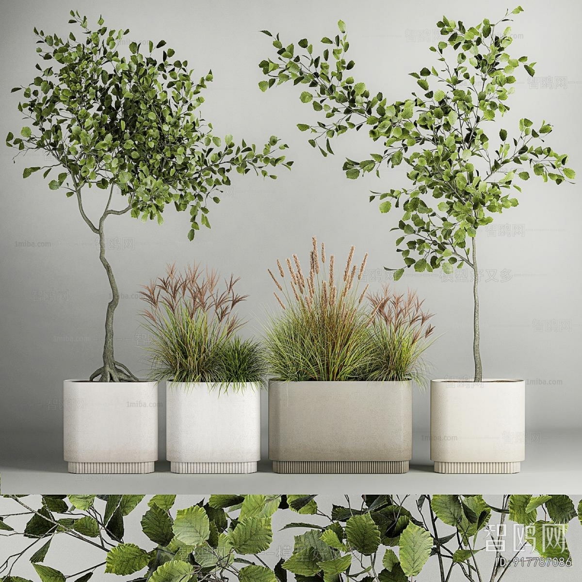 Modern Flower Bed, Flower Bowl, Flower Box