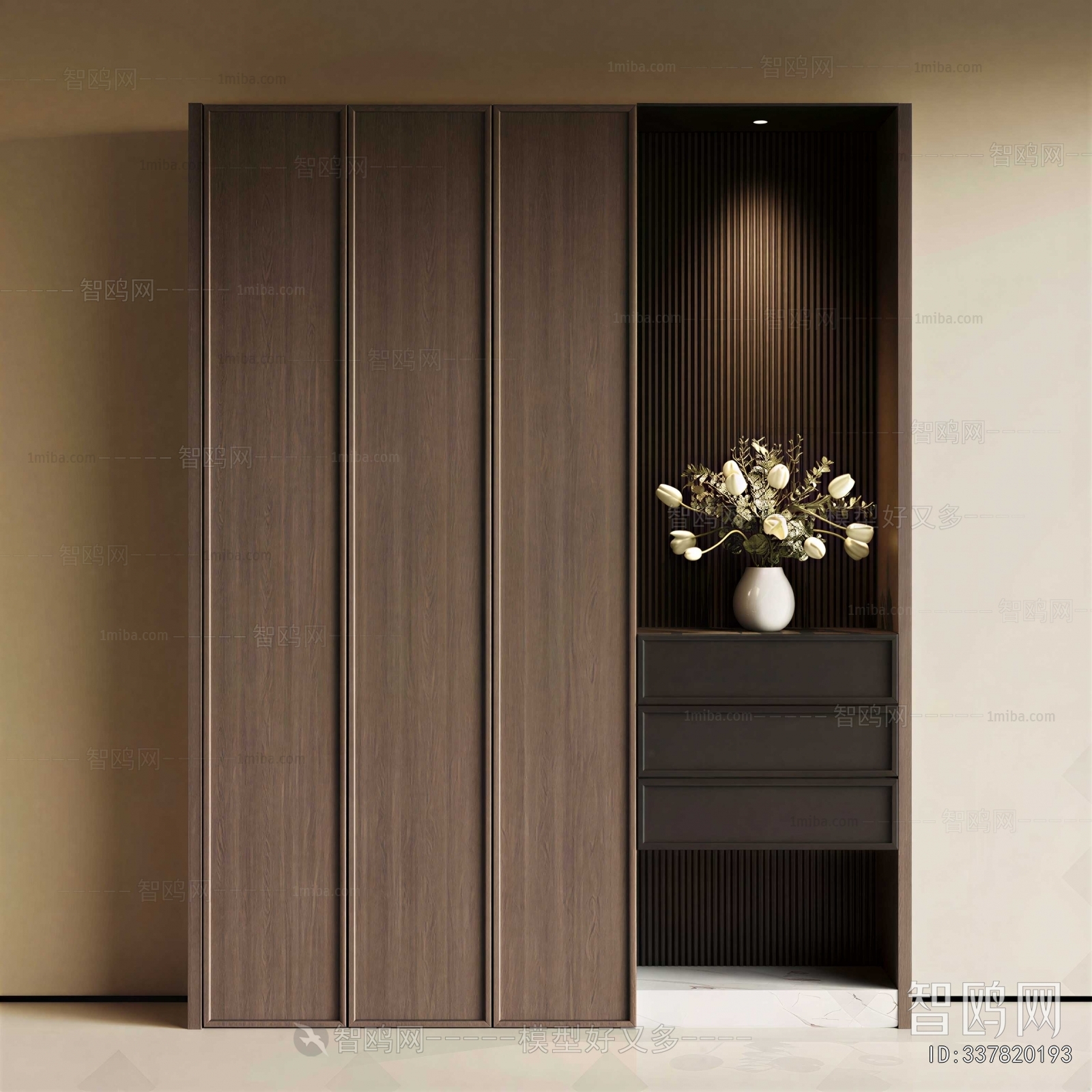 Modern Shoe Cabinet