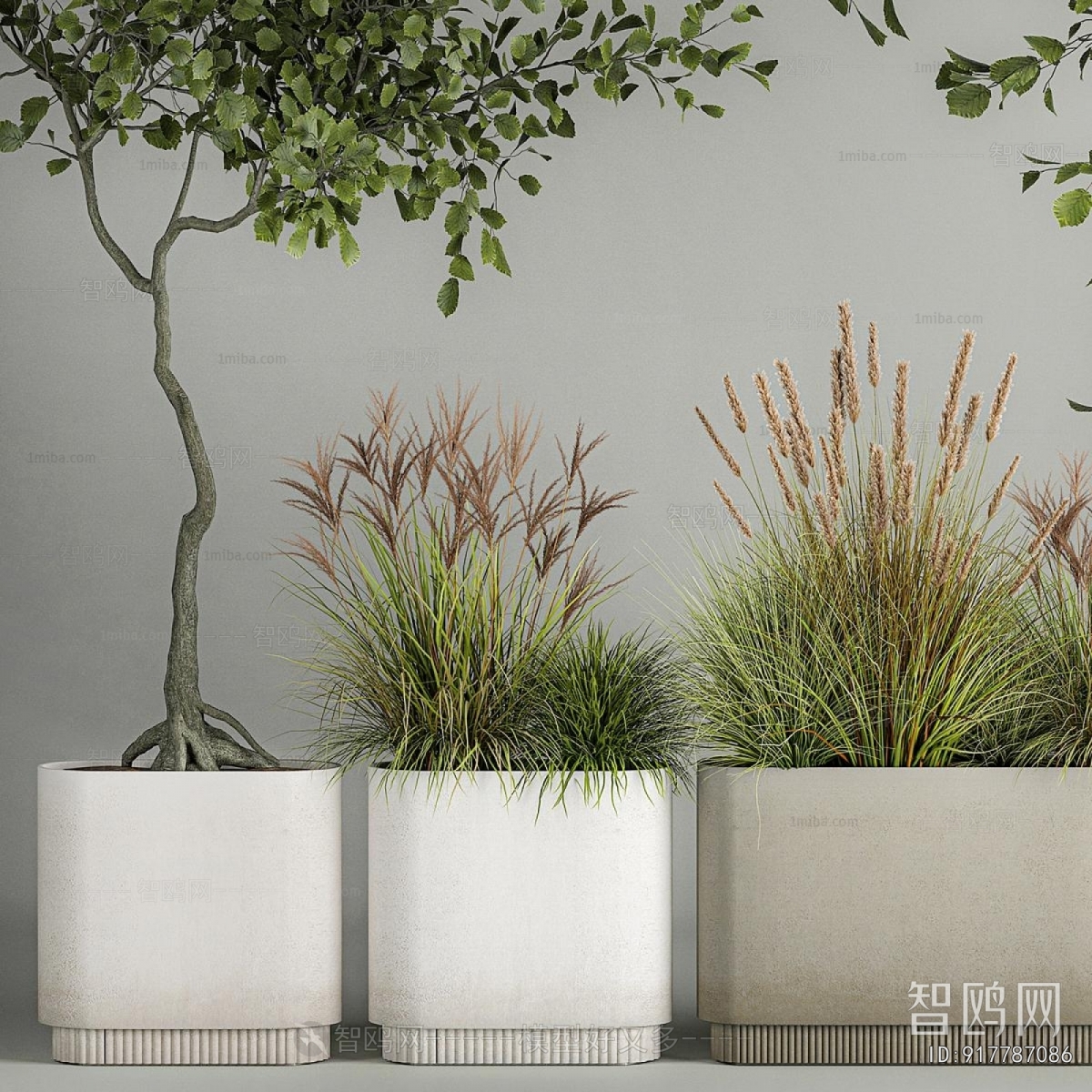 Modern Flower Bed, Flower Bowl, Flower Box