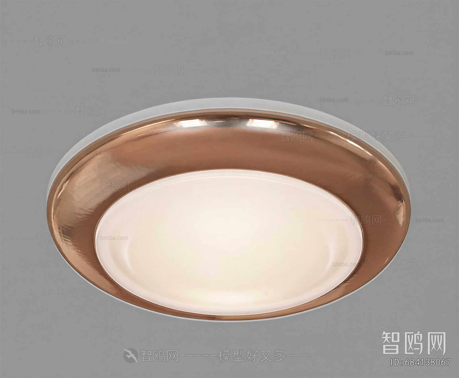 Modern Ceiling Ceiling Lamp