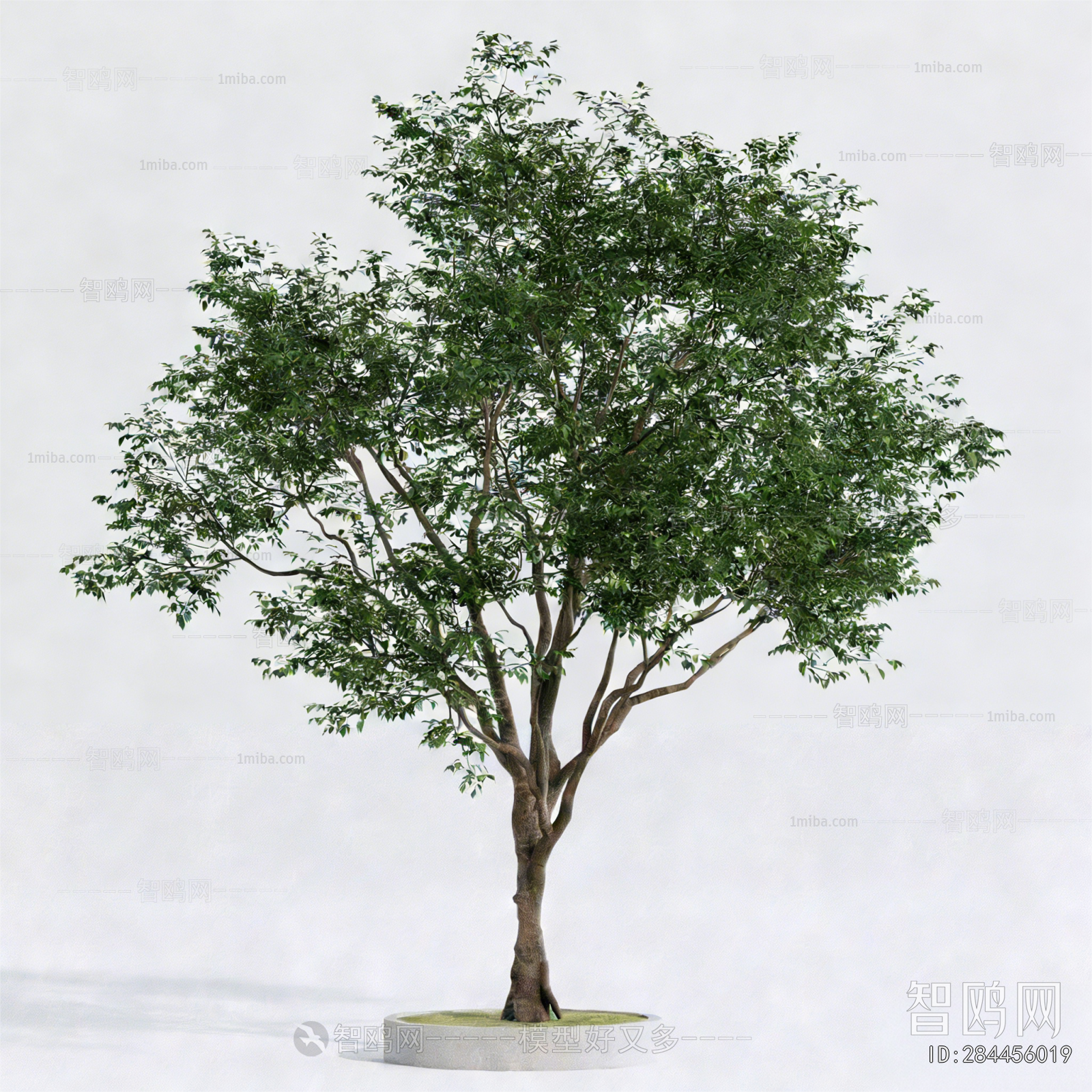 Modern Tree