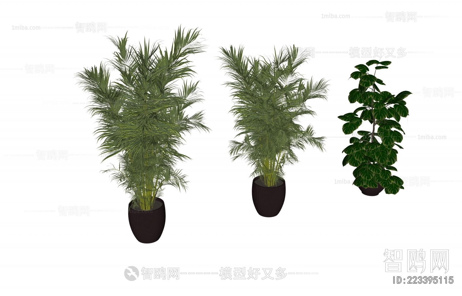 Modern Ground Green Plant Potted Plants
