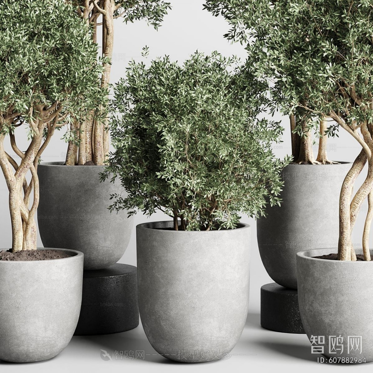 Modern Ground Green Plant Potted Plants
