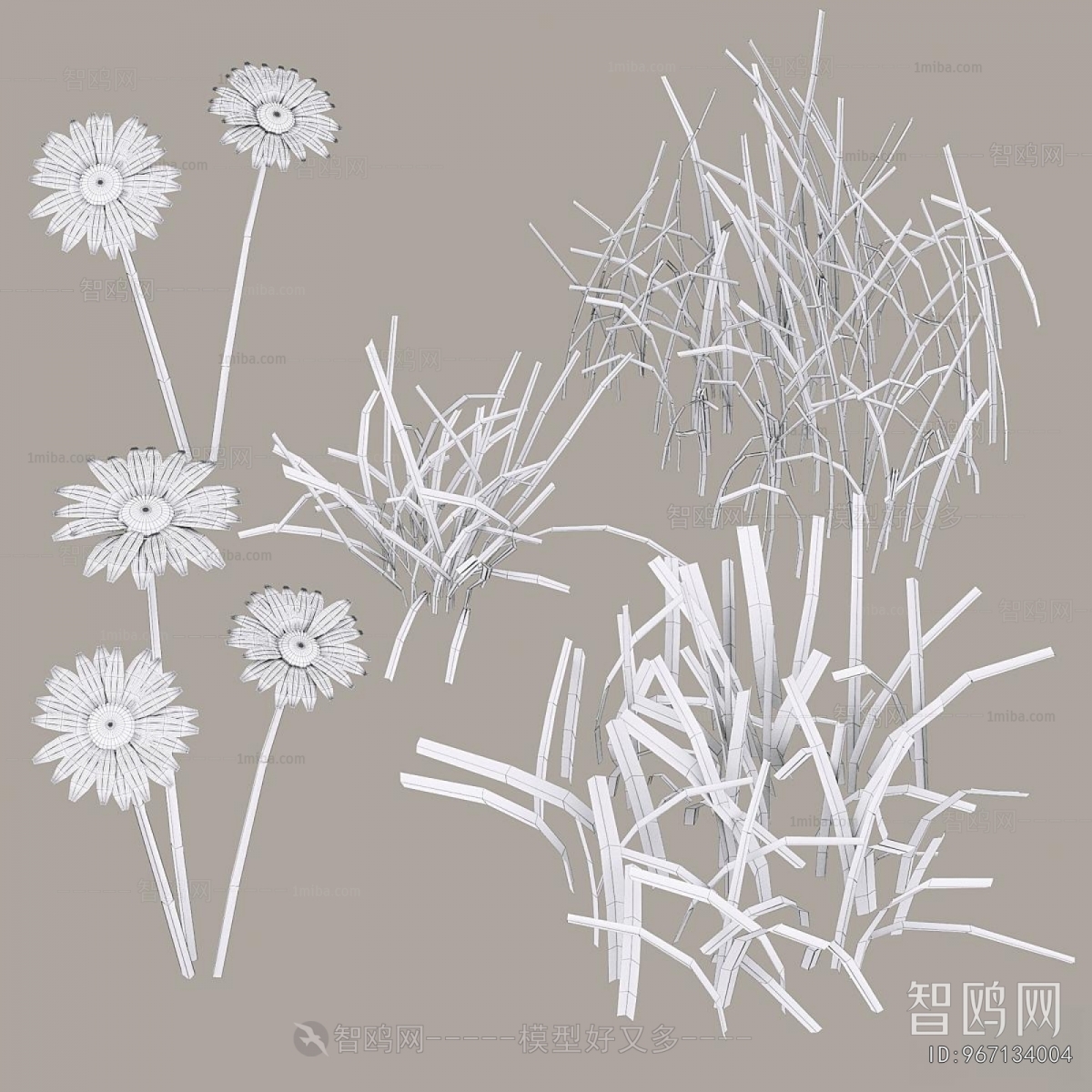 Modern The Grass