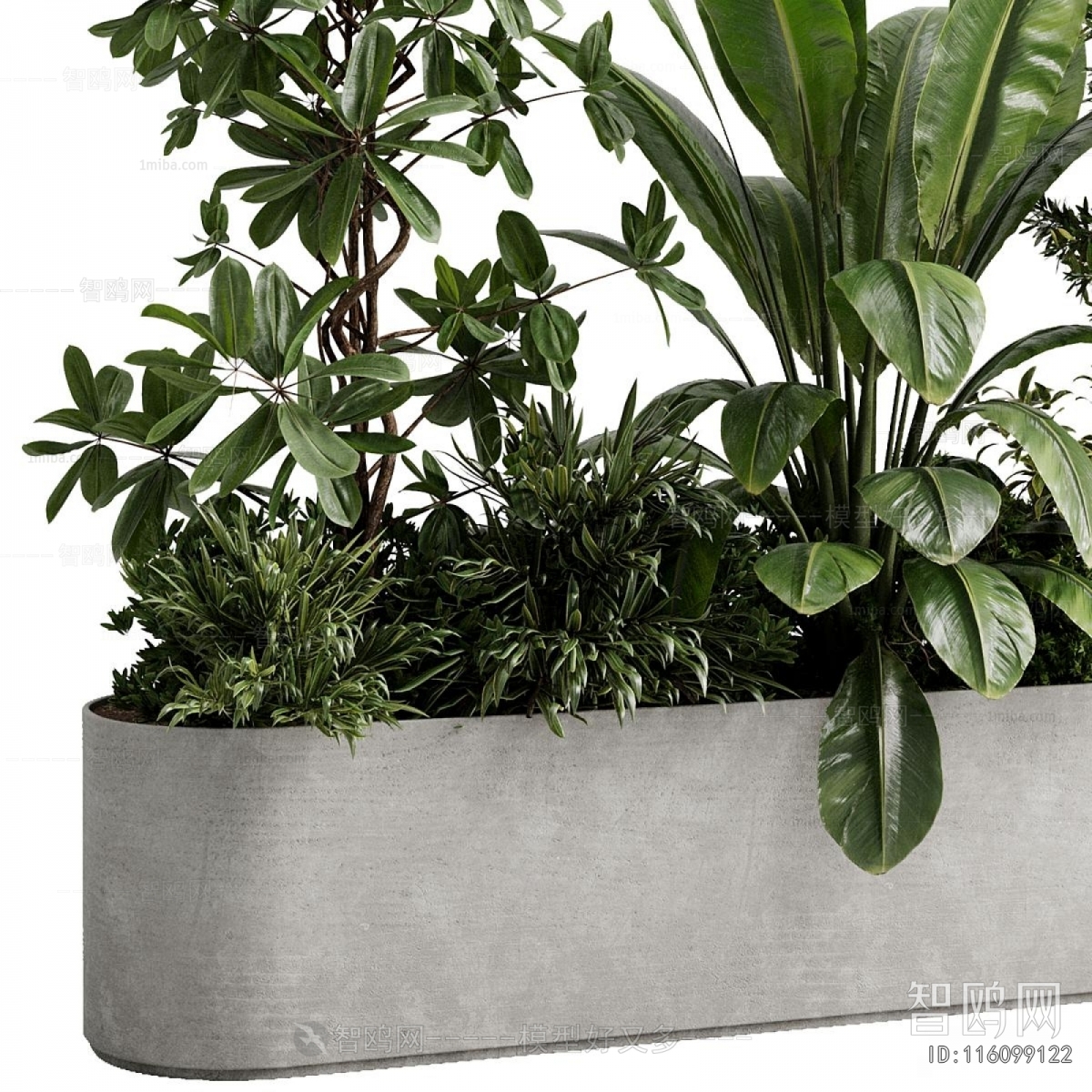 Modern Flower Bed, Flower Bowl, Flower Box