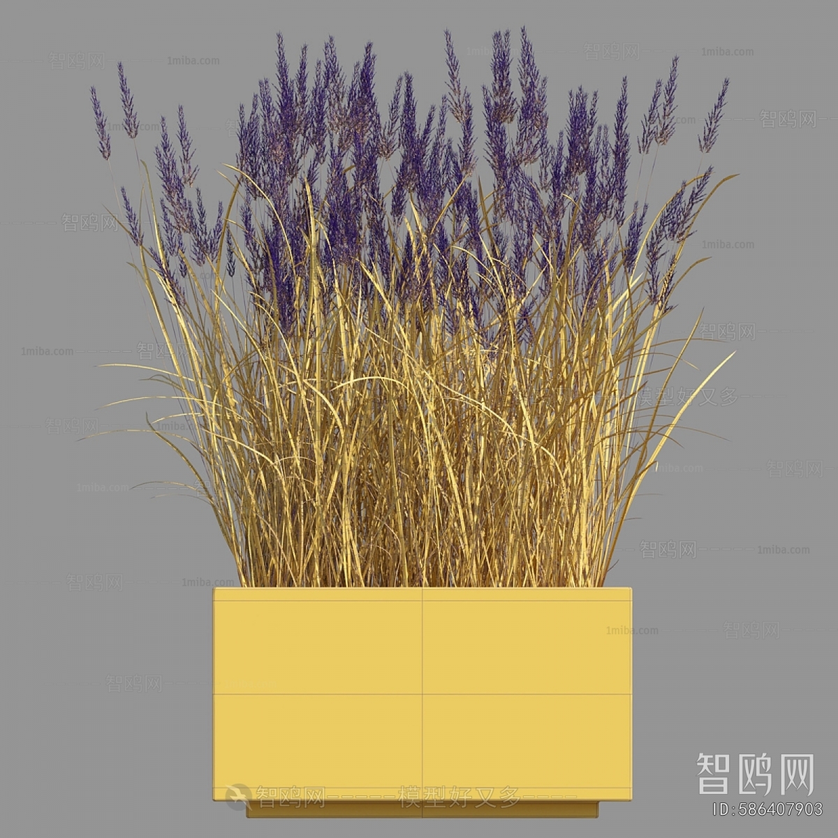 Modern Flower Bed, Flower Bowl, Flower Box