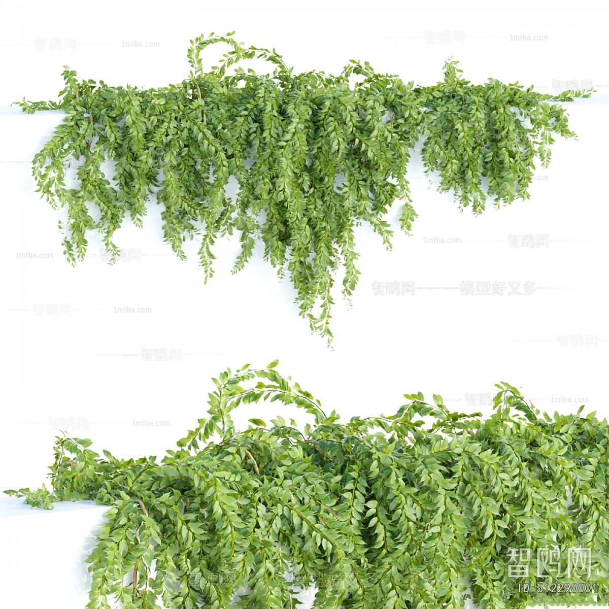 Modern Vine
