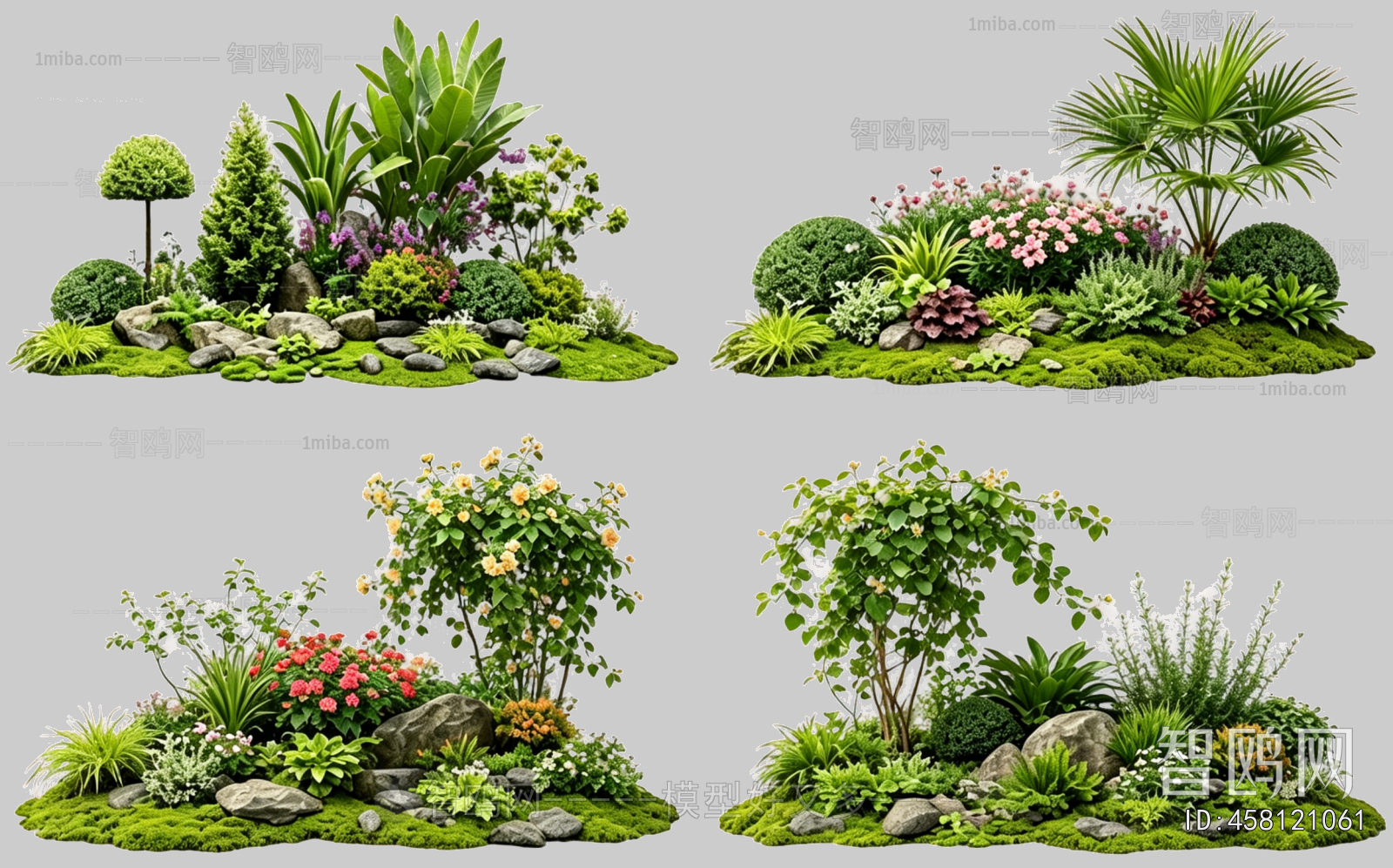 Plant Leaves