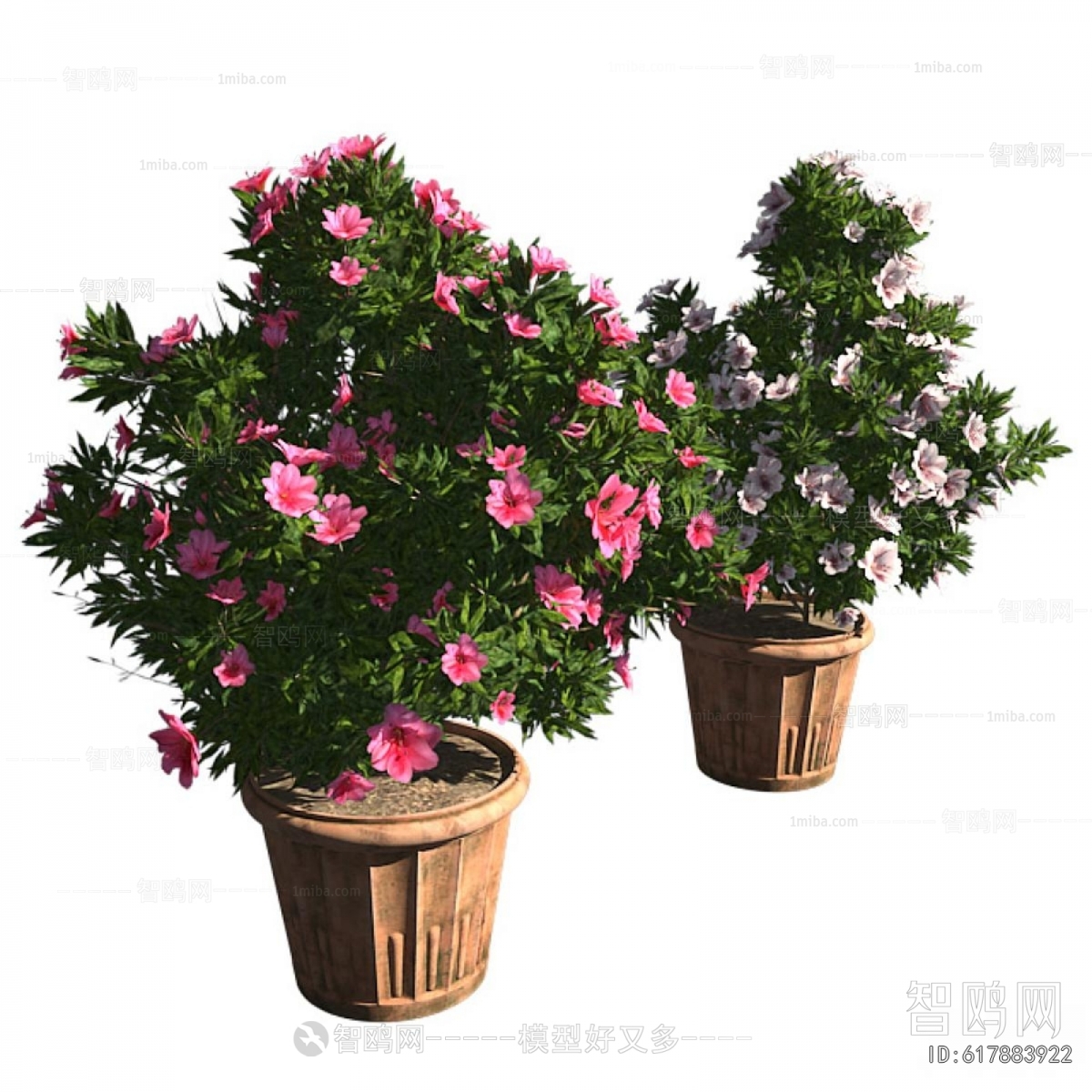 Modern Ground Green Plant Potted Plants