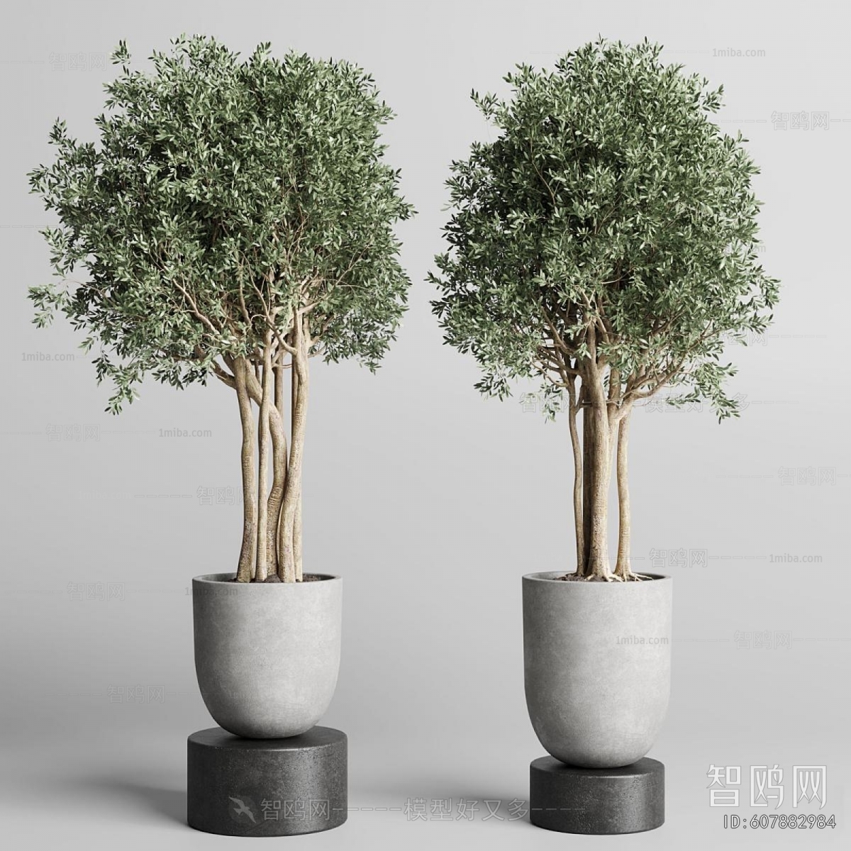 Modern Ground Green Plant Potted Plants