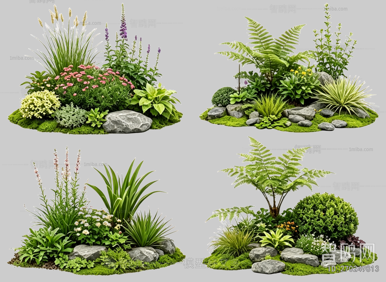 Plant Leaves