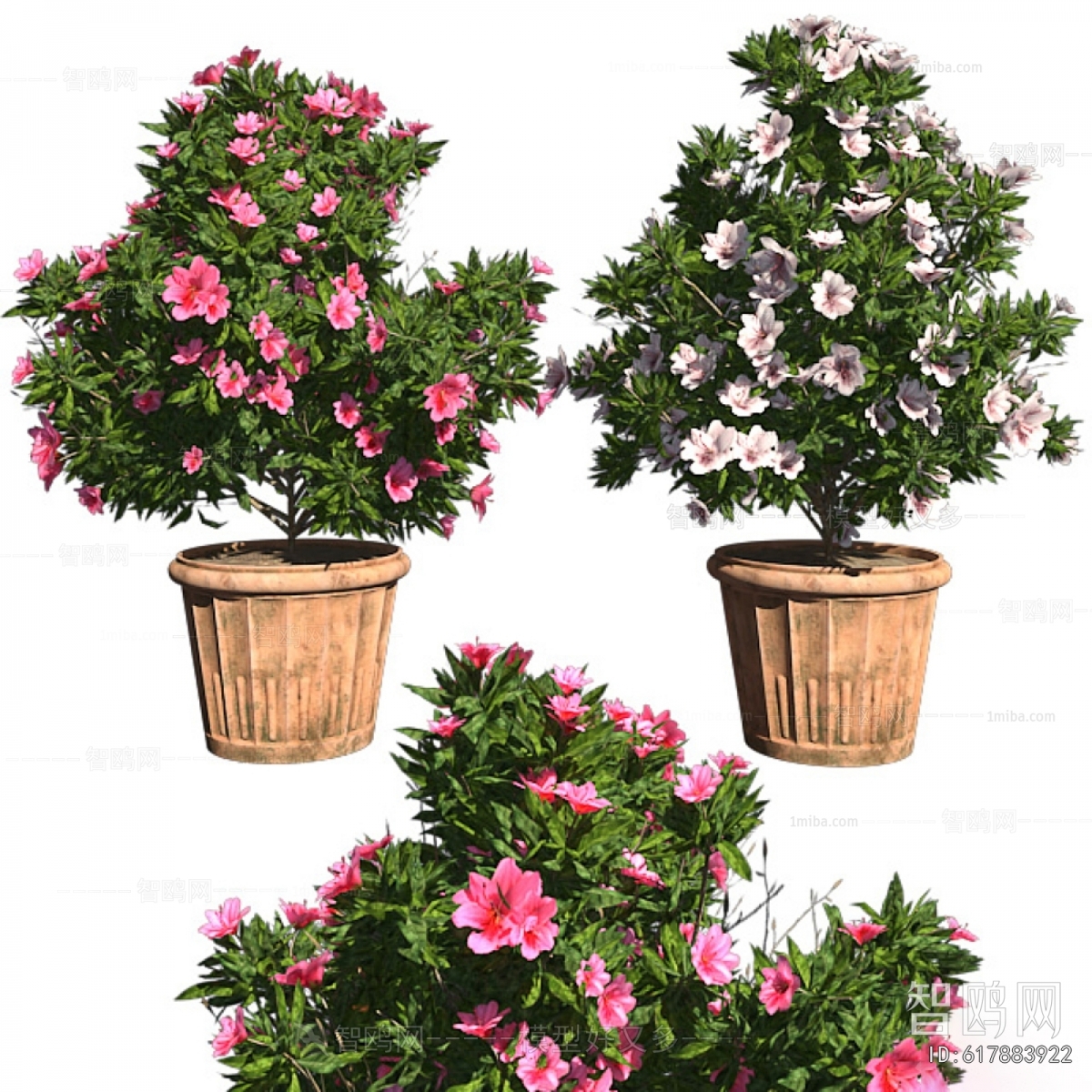 Modern Ground Green Plant Potted Plants